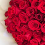 Clara Rosas Rojas - Imagen 2