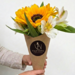 CORP. CONO GIRASOL